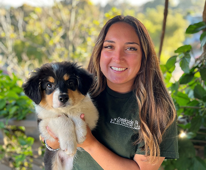 Dog Training Creekside Pet Boarding