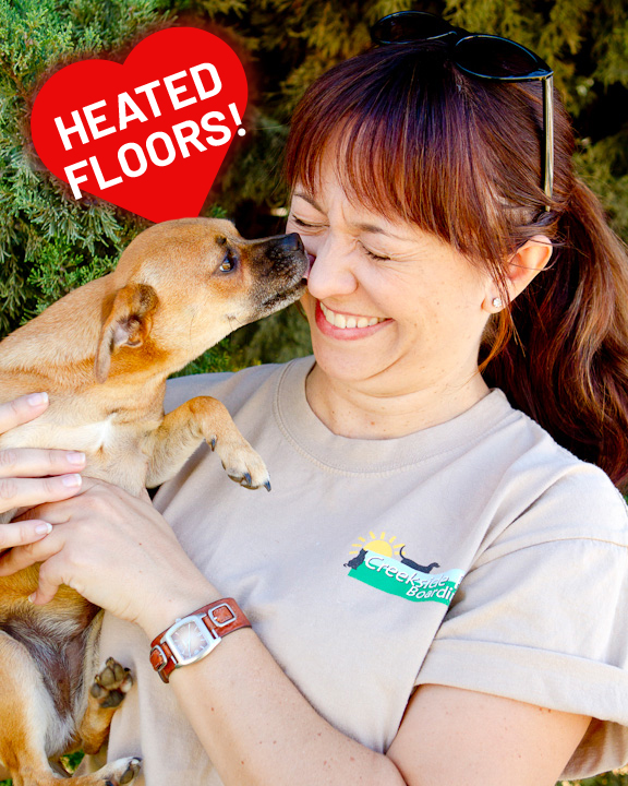 About Our Kennels Creekside Pet Boarding